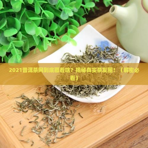 2021年普洱茶网
