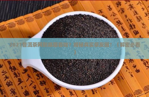 2021年普洱茶网