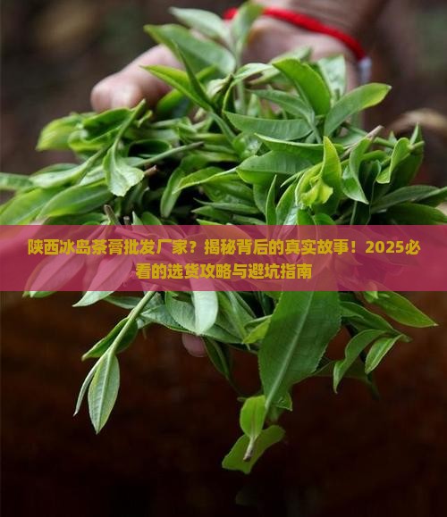 陕西冰岛茶膏批发厂家