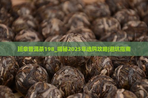 班章普洱茶198
