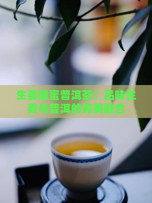 蜂蜜生姜普洱茶