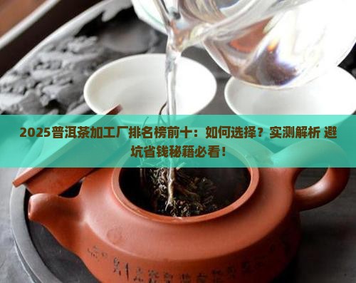 普洱茶加工厂排名榜前十