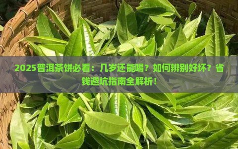 普洱茶饼有几年了还能喝吗