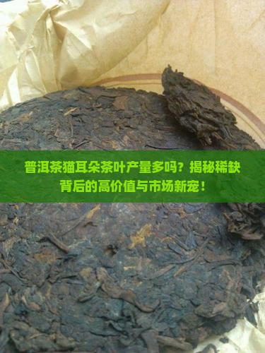 普洱茶猫耳朵茶叶产量多吗 普洱茶猫耳朵茶叶产量多吗