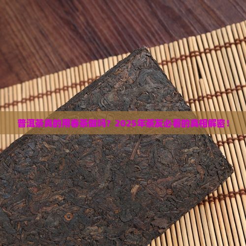 普洱茶用春茶做的吗
