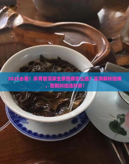养胃普洱茶生茶好还是熟茶好喝呢