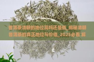 普洱茶清朝的地位高吗还是低
