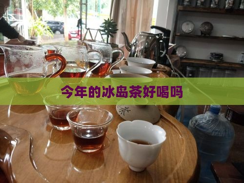 今年的冰岛茶好喝吗
