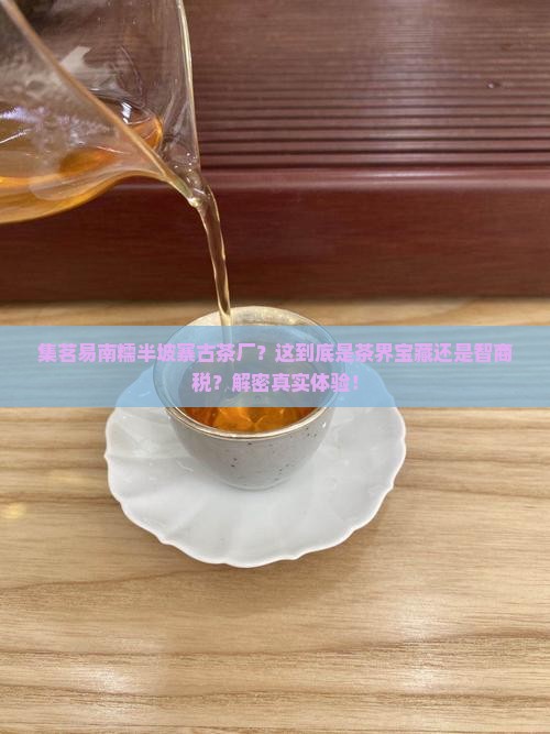 集茗易南糯半坡寨古茶厂