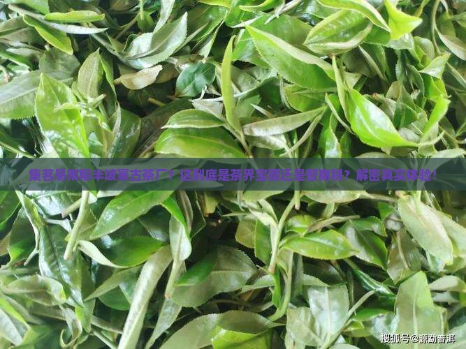 集茗易南糯半坡寨古茶厂