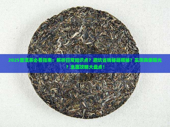 普洱茶日常知识点分享