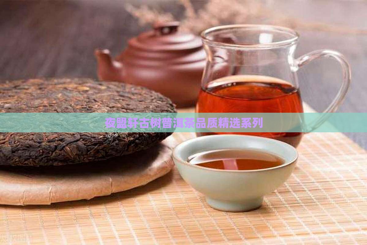 夜盟轩古树普洱茶