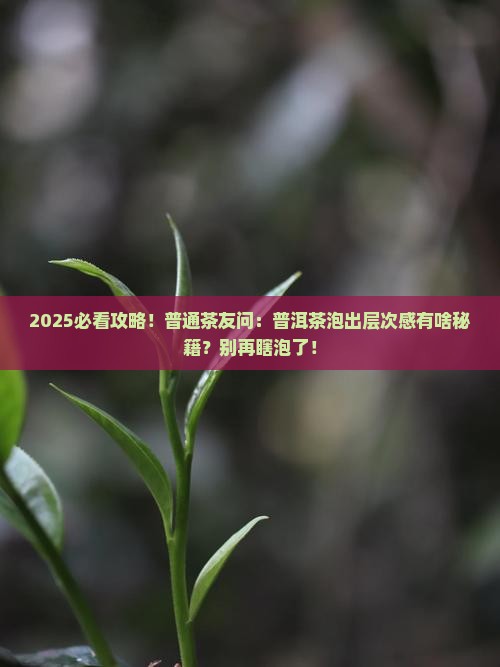 普洱茶如何泡才有层次感