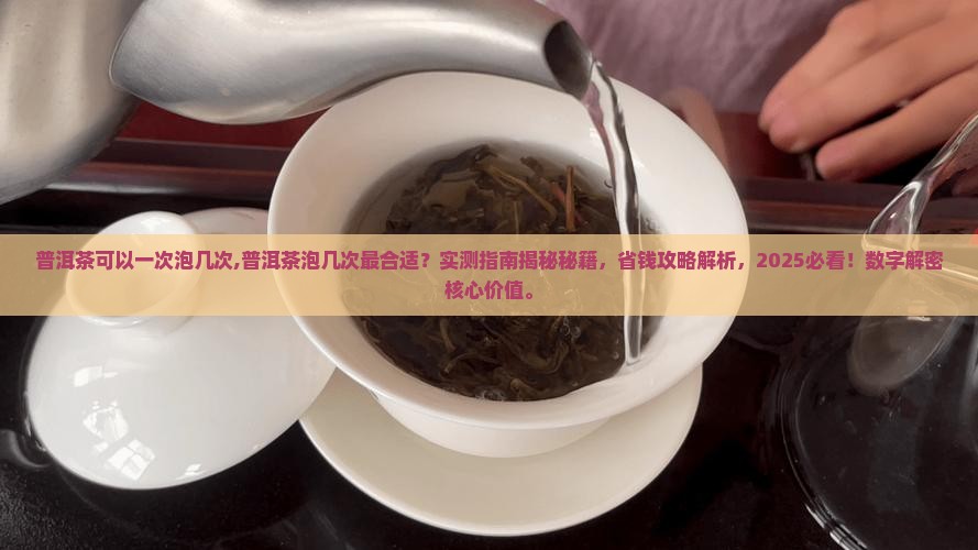 普洱茶可以一次泡几次