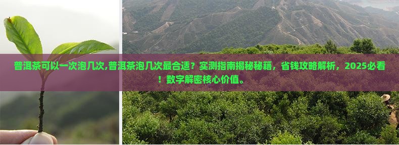普洱茶可以一次泡几次