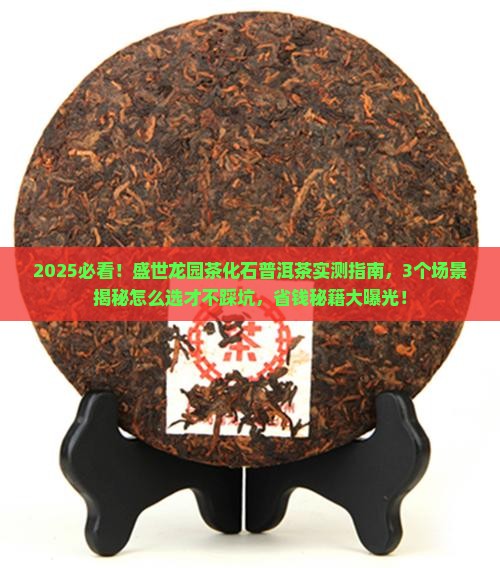 盛世龙园茶化石普洱茶