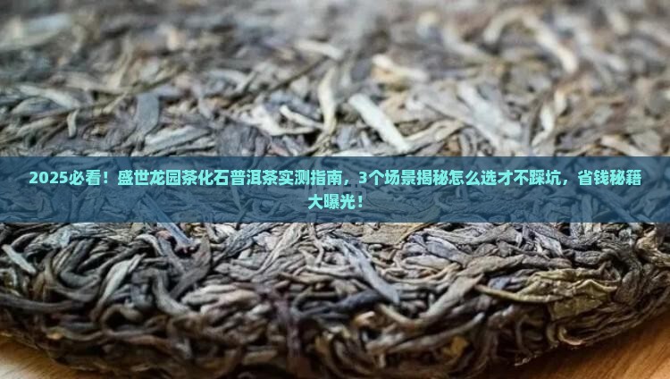 盛世龙园茶化石普洱茶