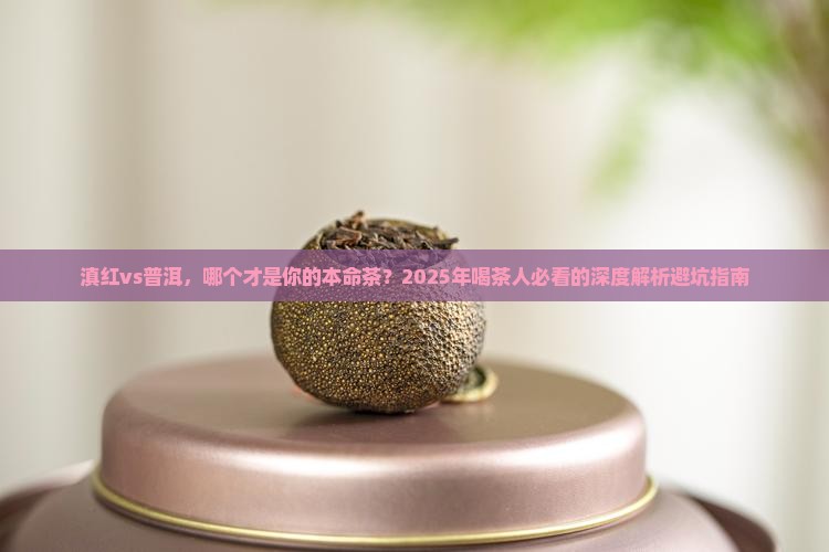 滇红红茶和普洱茶哪个好