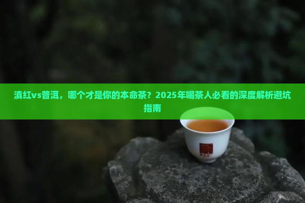 滇红红茶和普洱茶哪个好