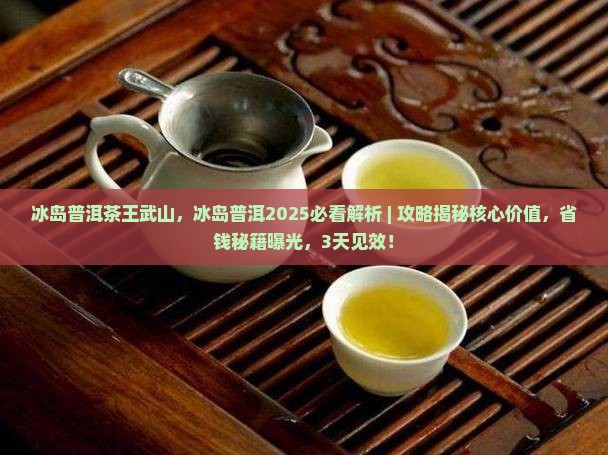 冰岛普洱茶王武山