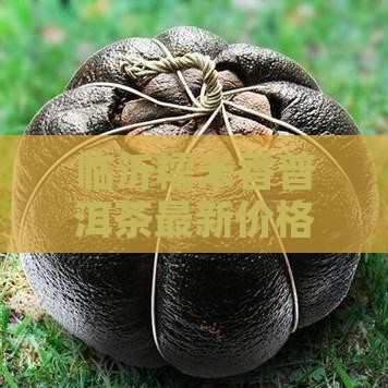 临沂糯米香普洱茶价格