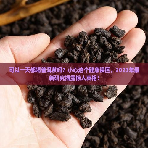 可以一天都喝普洱茶吗