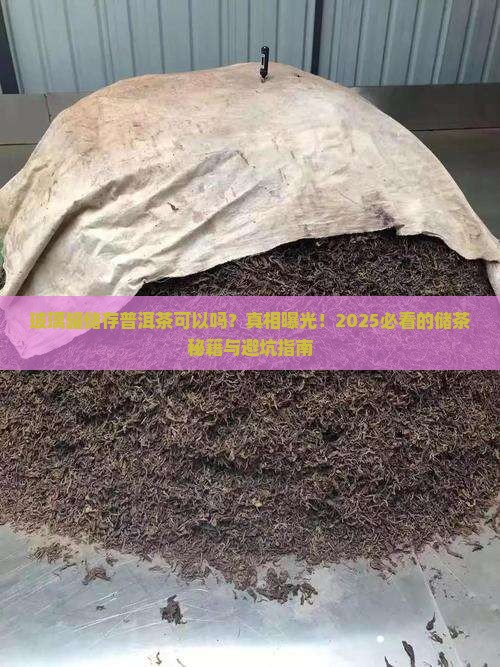 玻璃罐储存普洱茶可以吗