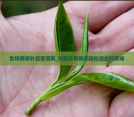 怎样用茶针启普洱茶