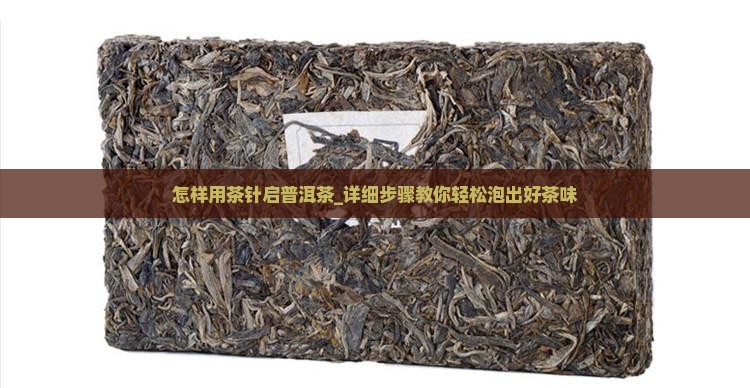 怎样用茶针启普洱茶