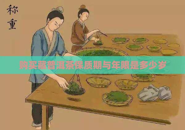 购买藏普洱茶年限是多少岁