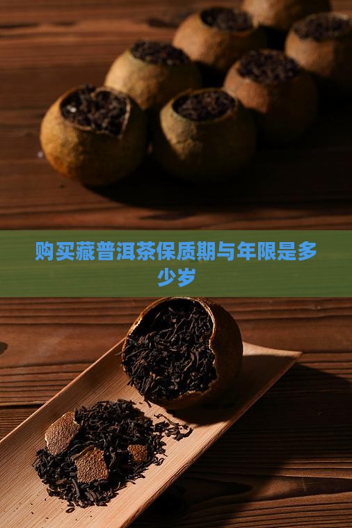 购买藏普洱茶年限是多少岁