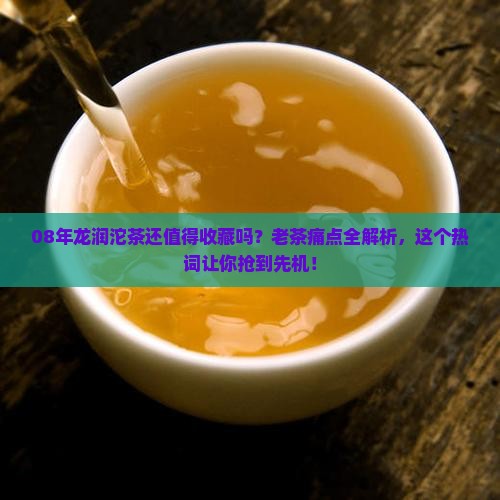 08年龙润沱茶