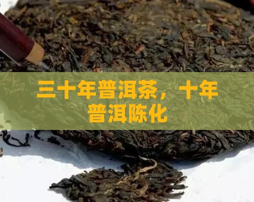 三十年陈化普洱茶