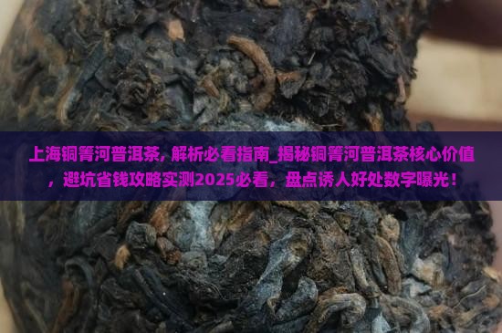上海铜箐河普洱茶