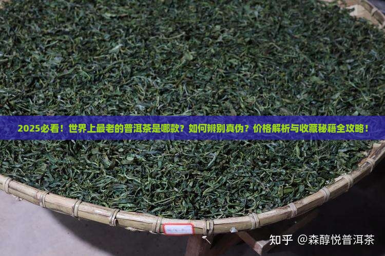 世界上最老的普洱茶