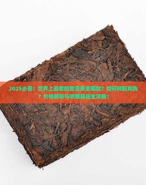世界上最老的普洱茶