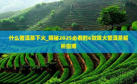 什么普洱茶下火