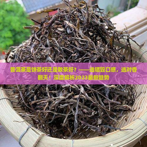 普洱茶是饼茶好还是散茶好