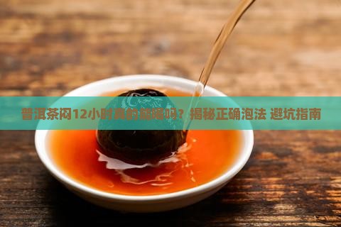 普洱茶闷12小时