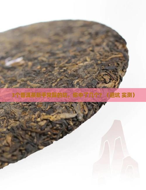 普洱茶标签等级划分