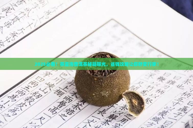 茶壶怎么泡普洱茶