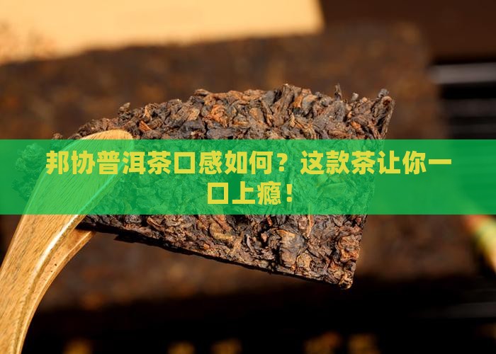 邦协普洱茶口感