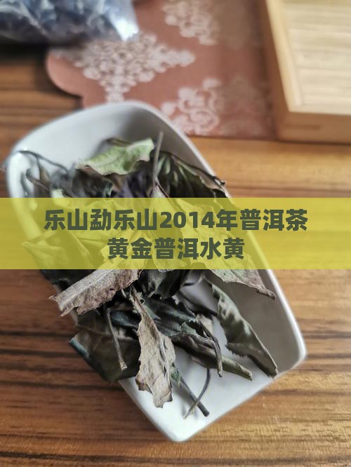 勐乐山2014年生普洱水黄金