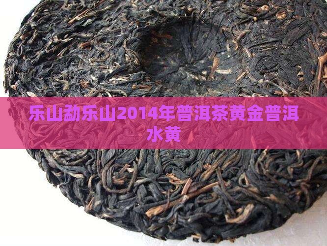 勐乐山2014年生普洱水黄金