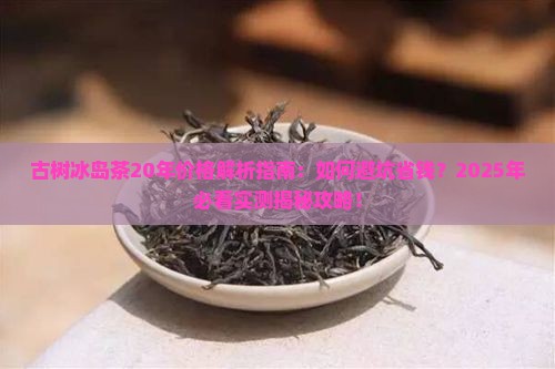 古树冰岛茶20年价格