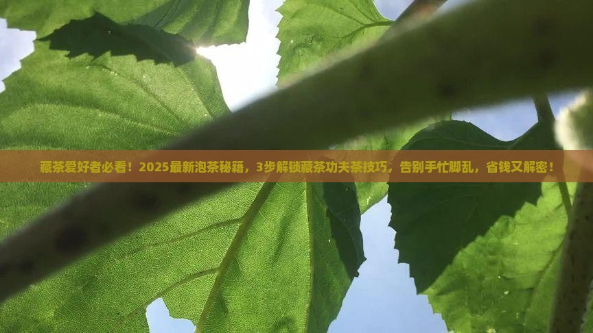 藏茶原产于藏茶怎么泡功夫茶