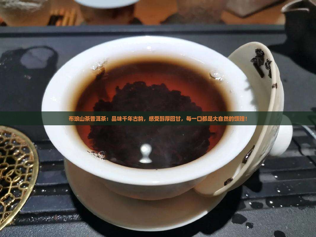 布琅山茶普洱茶