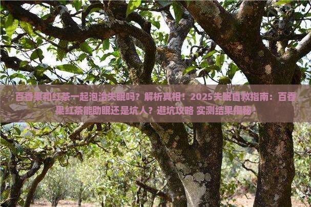 百香果和红茶一起泡治失眠吗