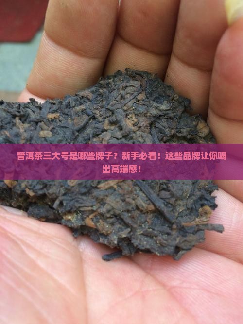 普洱茶三大号是什么牌子