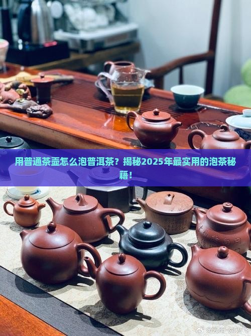 用普通茶壶怎么泡普洱茶